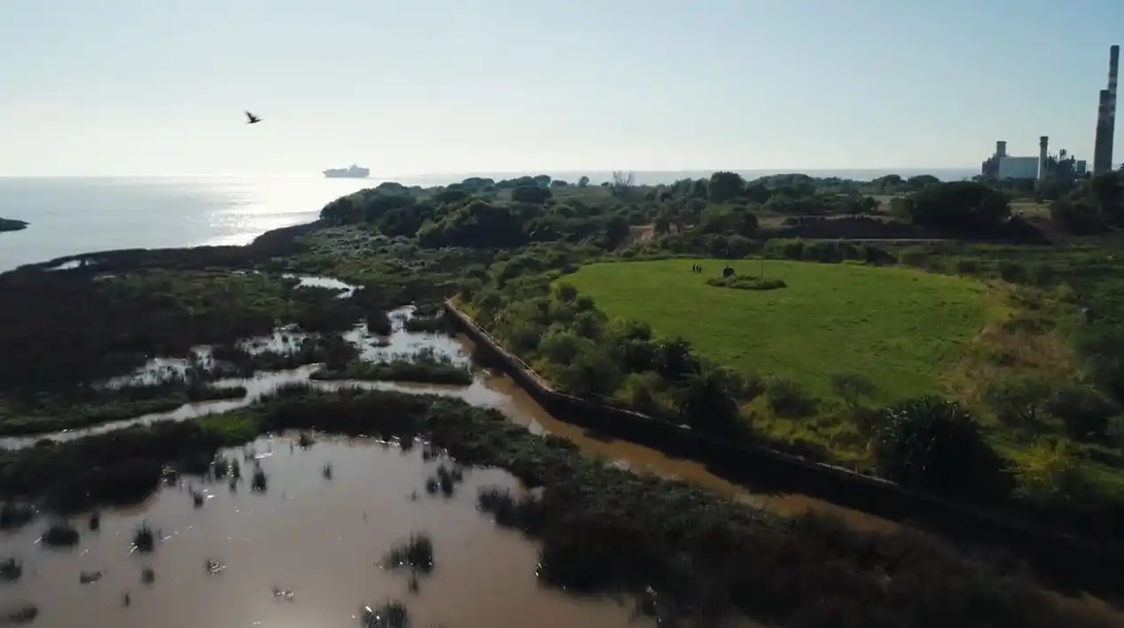 IRSA acelera donde antes había freno: poder político y negocios en la costa sur