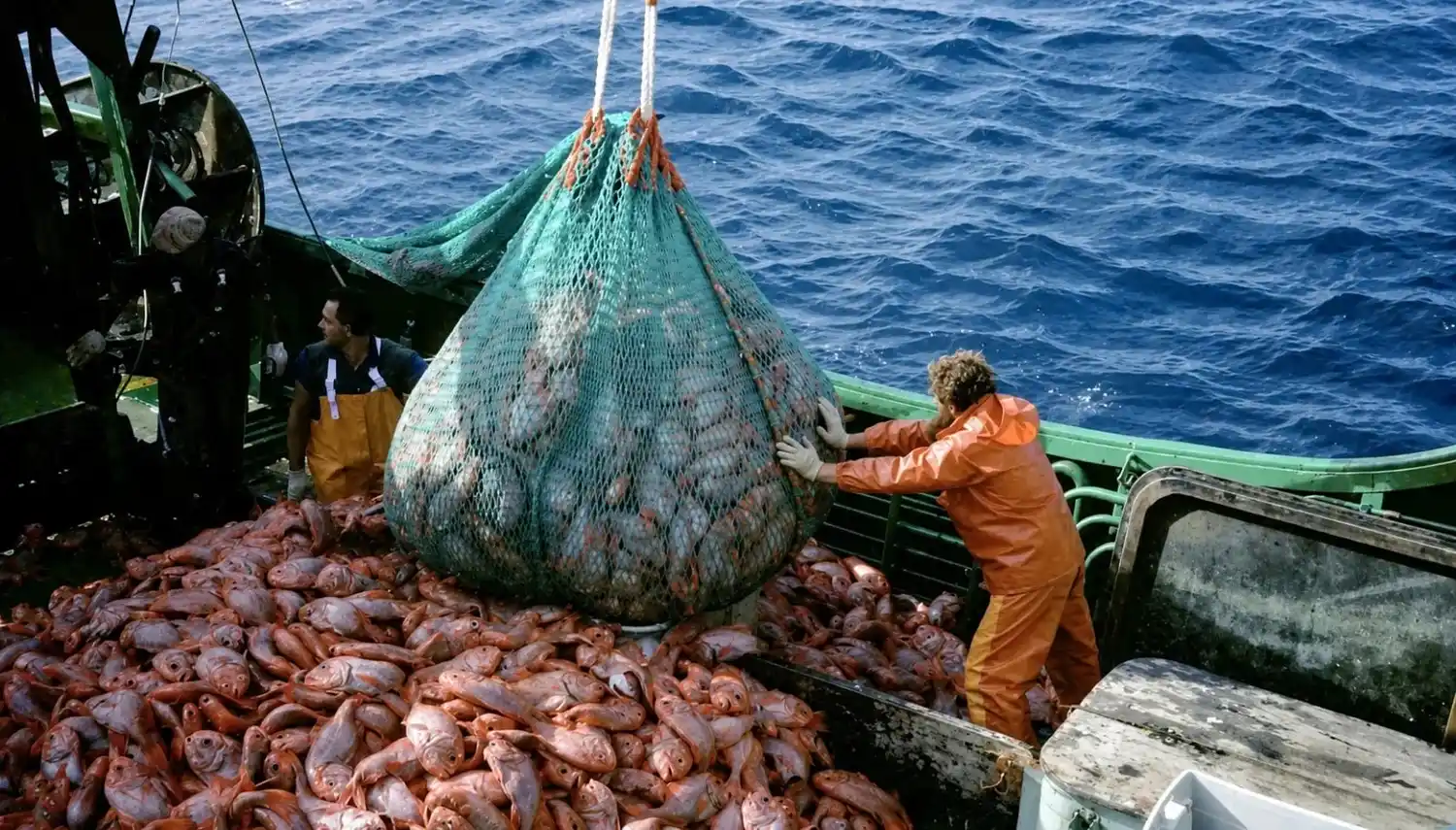Desde FULASP denunciaron que la pesca ilegal extrae hasta 3 millones de toneladas de aguas argentinas cada año.