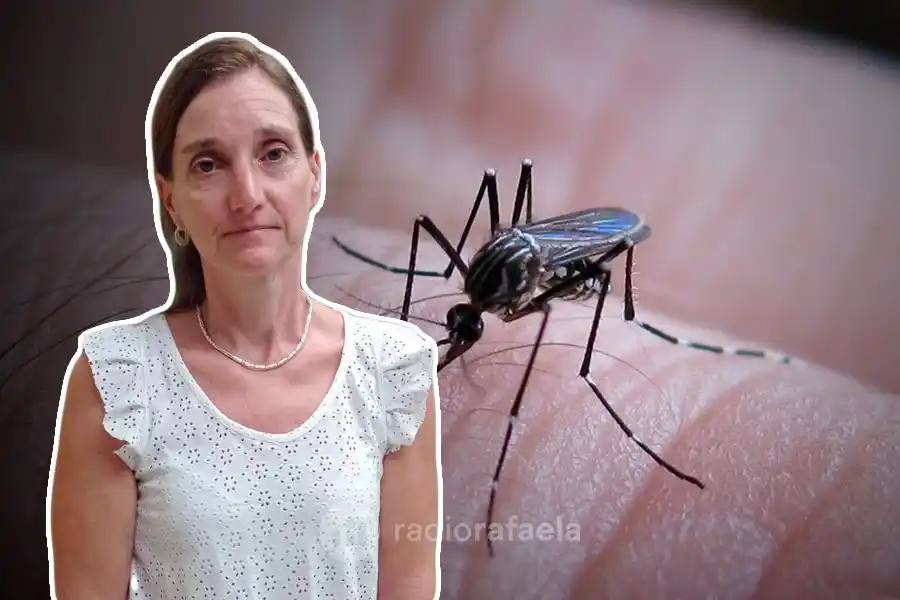 Gran brote de casos de Dengue en la ciudad