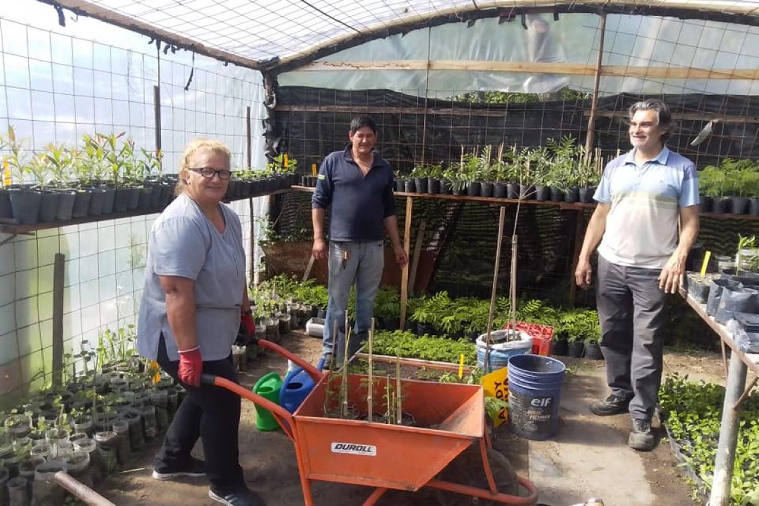 El vivero Municipal de árboles nativos alcanzó los 10.000 plantines producidos