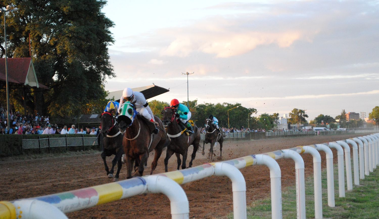 Vuelve el turf: el Gobierno provincial autorizó el regreso de la actividad hípica