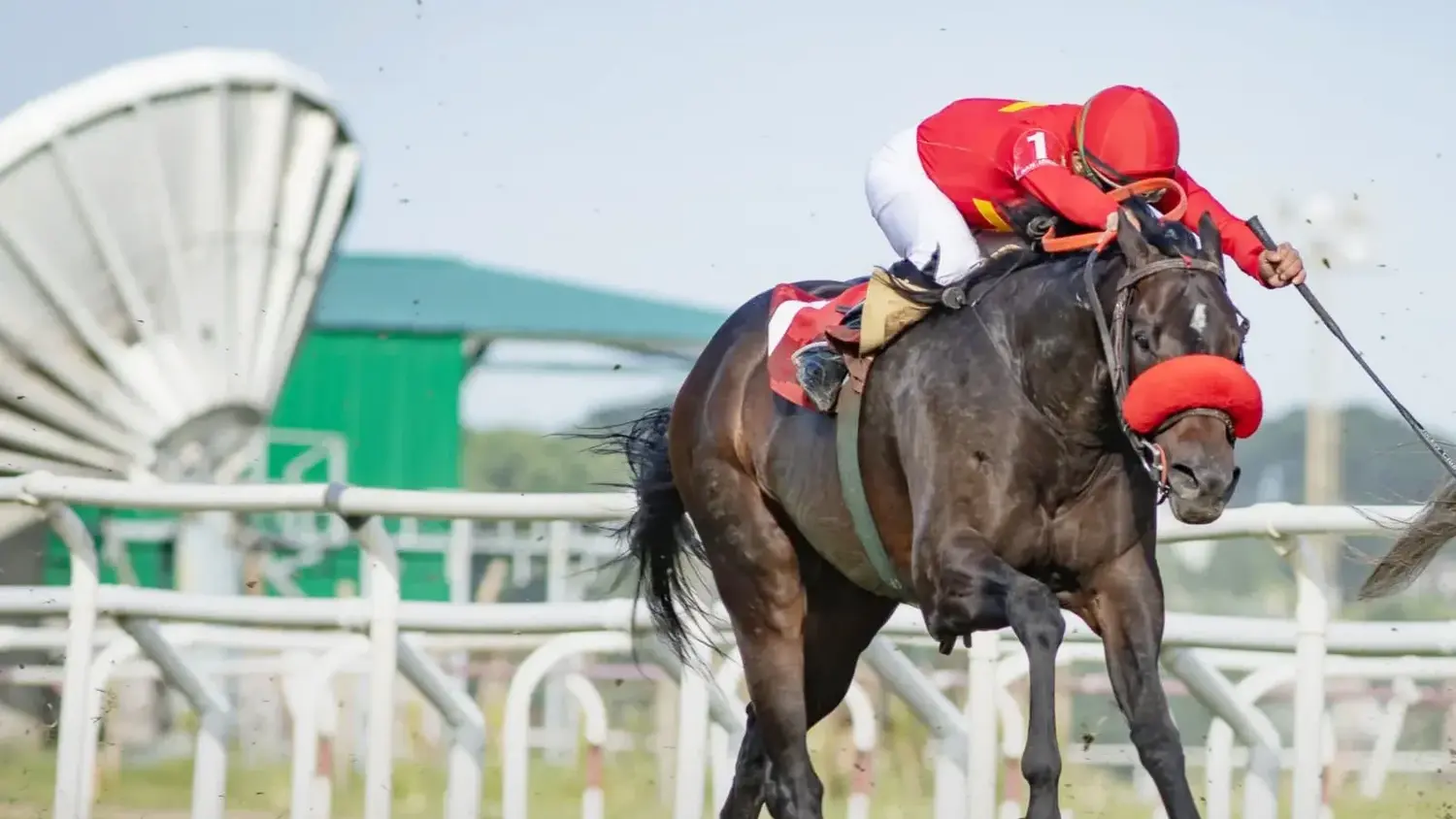 Viejo Varieté va por otro triunfo de jerarquía en el Clásico 9 de Julio (G2), en San Isidro.