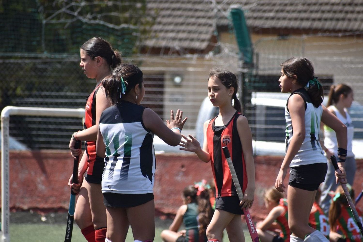 El Encuentro Nacional de Mini Hockey promovió el respeto y la amistad.