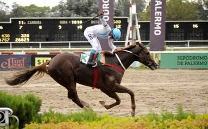 Lunes 24: Actividad Hipódromo de Palermo