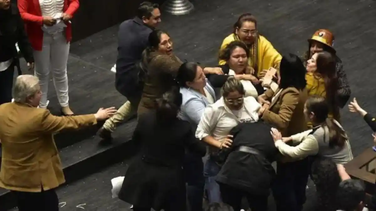 ¡TÁNGANA EN EL CONGRESO DE BOLIVIA! Diputados se fueron a las manos en plena sesión (+Video)