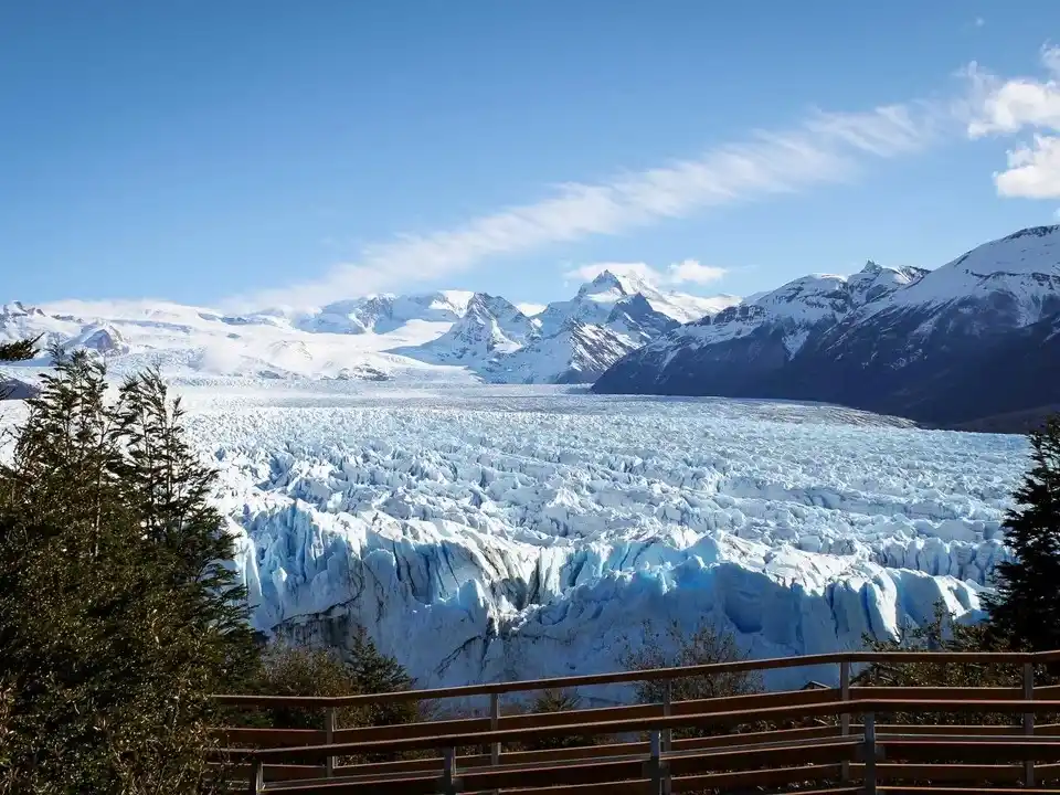 Greenpeace pidió una medida cautelar para garantizar la participación oral de 100 mil inscriptos