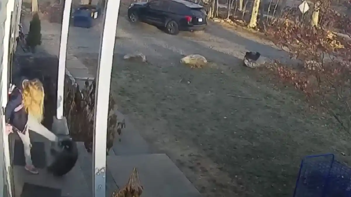 ¡TAN BONITO PERO TAN TÓXICO! Vea cómo una madre defiende a su hija del ataque de un mapache en EE.UU.