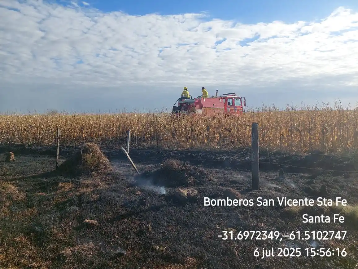 Maíz y pasto en llamas: los Bomberos trabajaron durante casi dos horas para sofocar el fuego