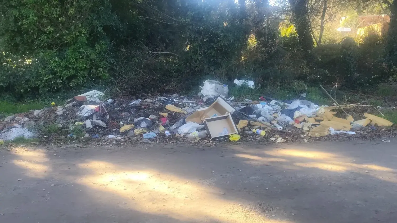 "El camión no alcanza a levantar la gran cantidad de basura que se acumula en Las Dalias"
