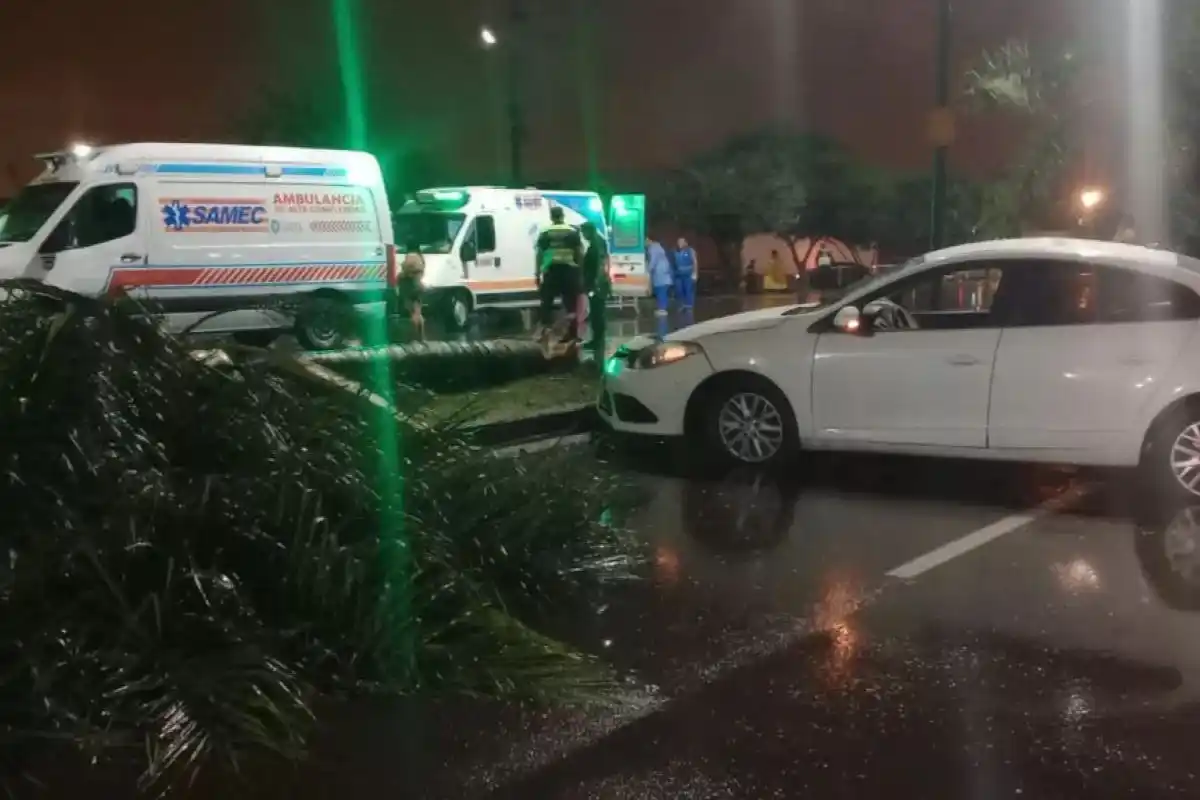 El acompañante fue detenido
