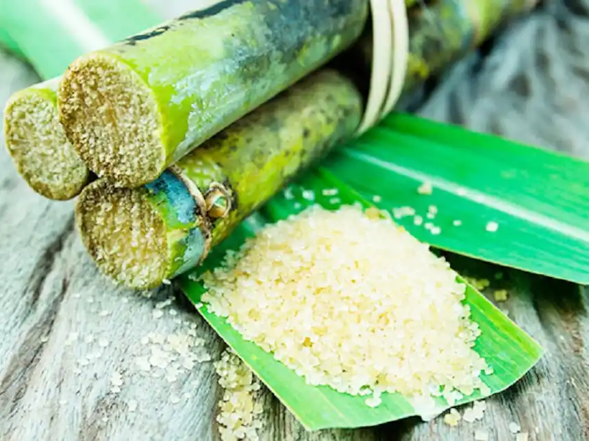 Las exportaciones agroindustriales argentinas marcaron un alto nivel de cumplimiento en 2025