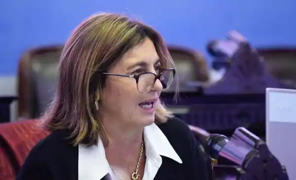 La presidenta del CGE advirtió que no tienen fondos
