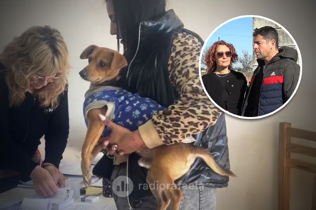 Castraciones en tu barrio: cómo pedir turno y por qué es clave para la salud de las mascotas