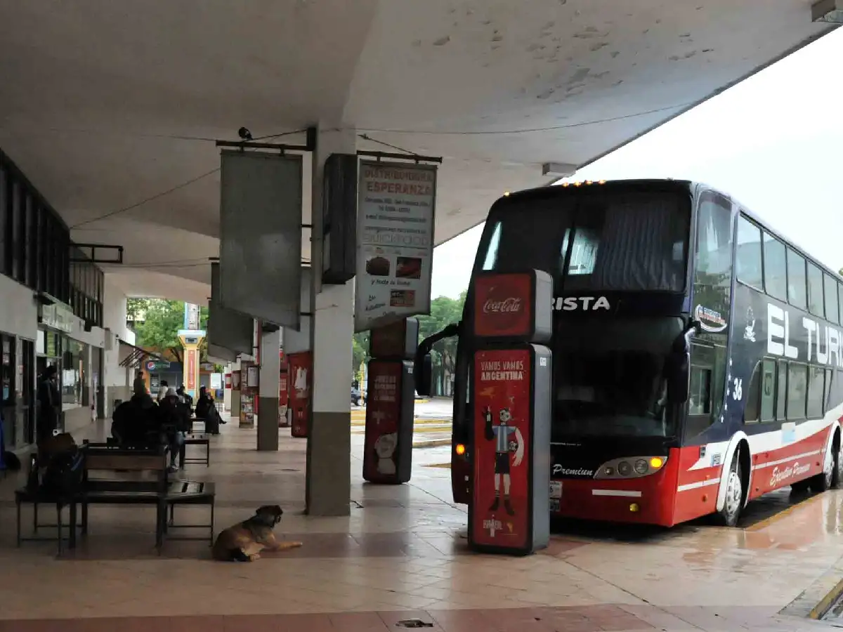 Garantizan el transporte interurbano durante Navidad
