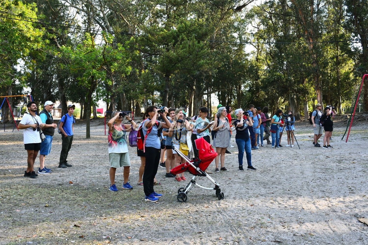Actividad llevada a cabo
