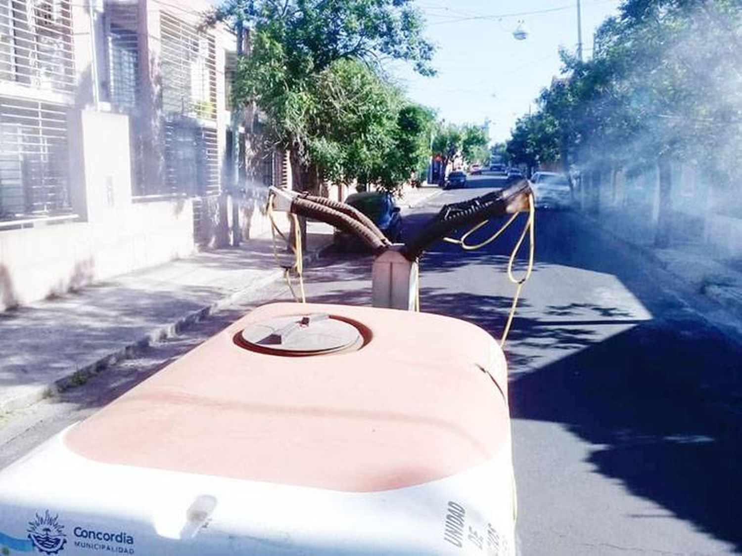 Fumigación y  desinfección en  espacios públicos de la ciudad