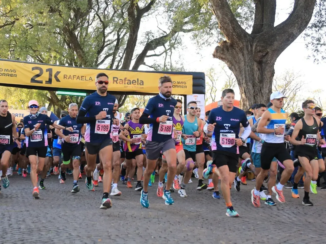 Media Maratón