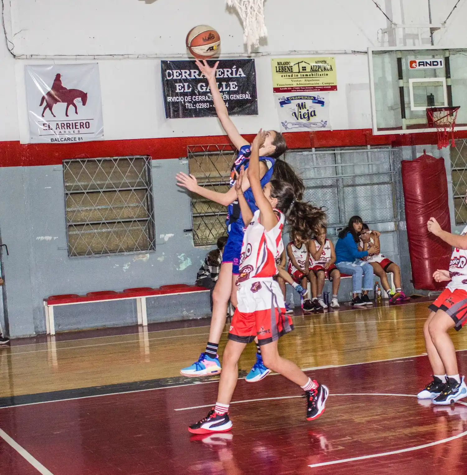 Sábado de finales para el básquet femenino
