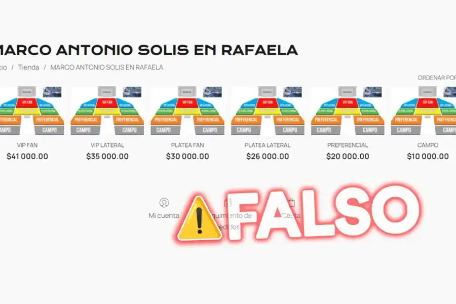 Captura de pantalla de la web falsa