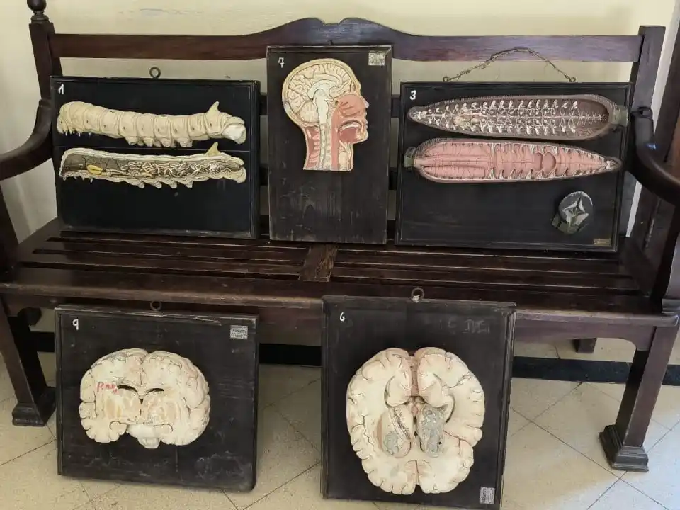 La Escuela Normal inauguró la muestra  “Aquel laboratorio de ayer”