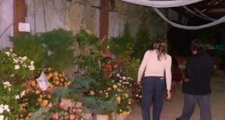 Tercera edición de la Fiesta de la Rosa