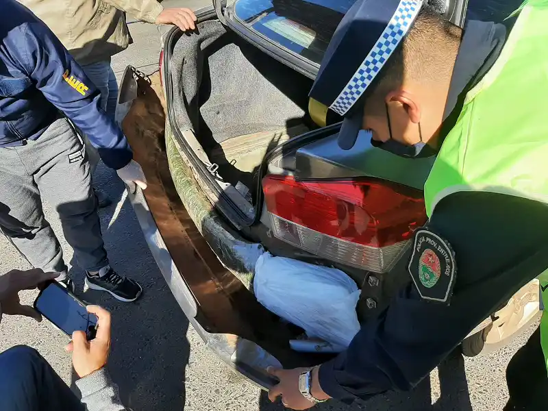 Casi veinte kilos de marihuana fueron secuestrados en Paso Telégrafo