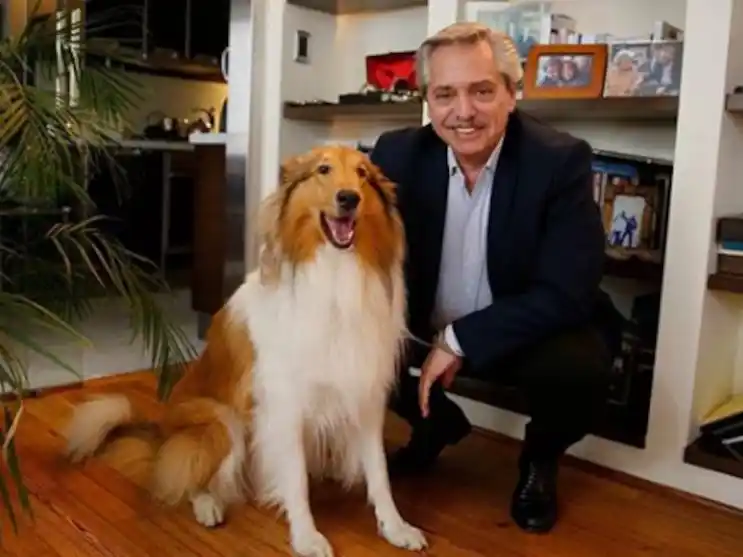 Alberto Fernández despidió a su mascota Dylan con un emotivo mensaje en Instagram