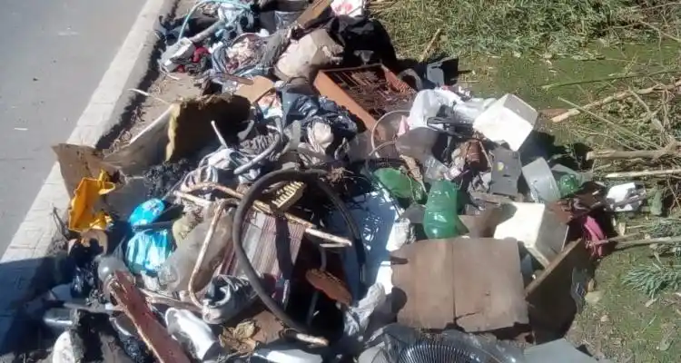 Limpiaron la barranca en la zona del ex Tiro Federal, donde planifican un rosedal junto a Inta