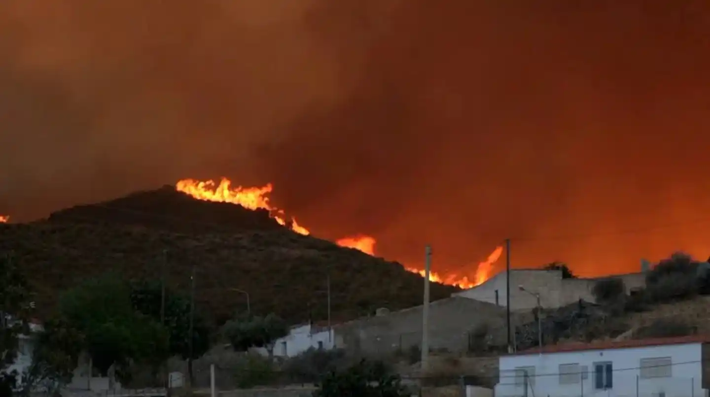 El incendio se habría originado por la caída de una línea eléctrica de alta tensión.