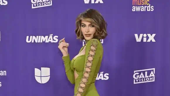 EN FOTOS: Así pasaron las estrellas por la alfombra roja de los LatinAMAs