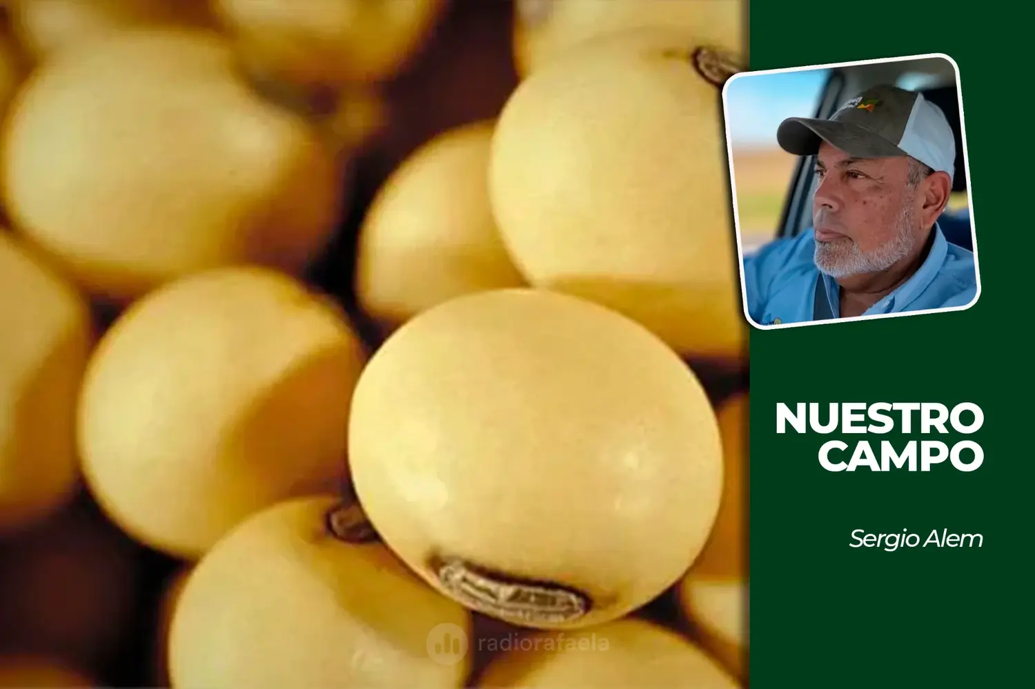 Cañuelas no registró ingresos y la soja cotizó a 560.000 pesos por tonelada