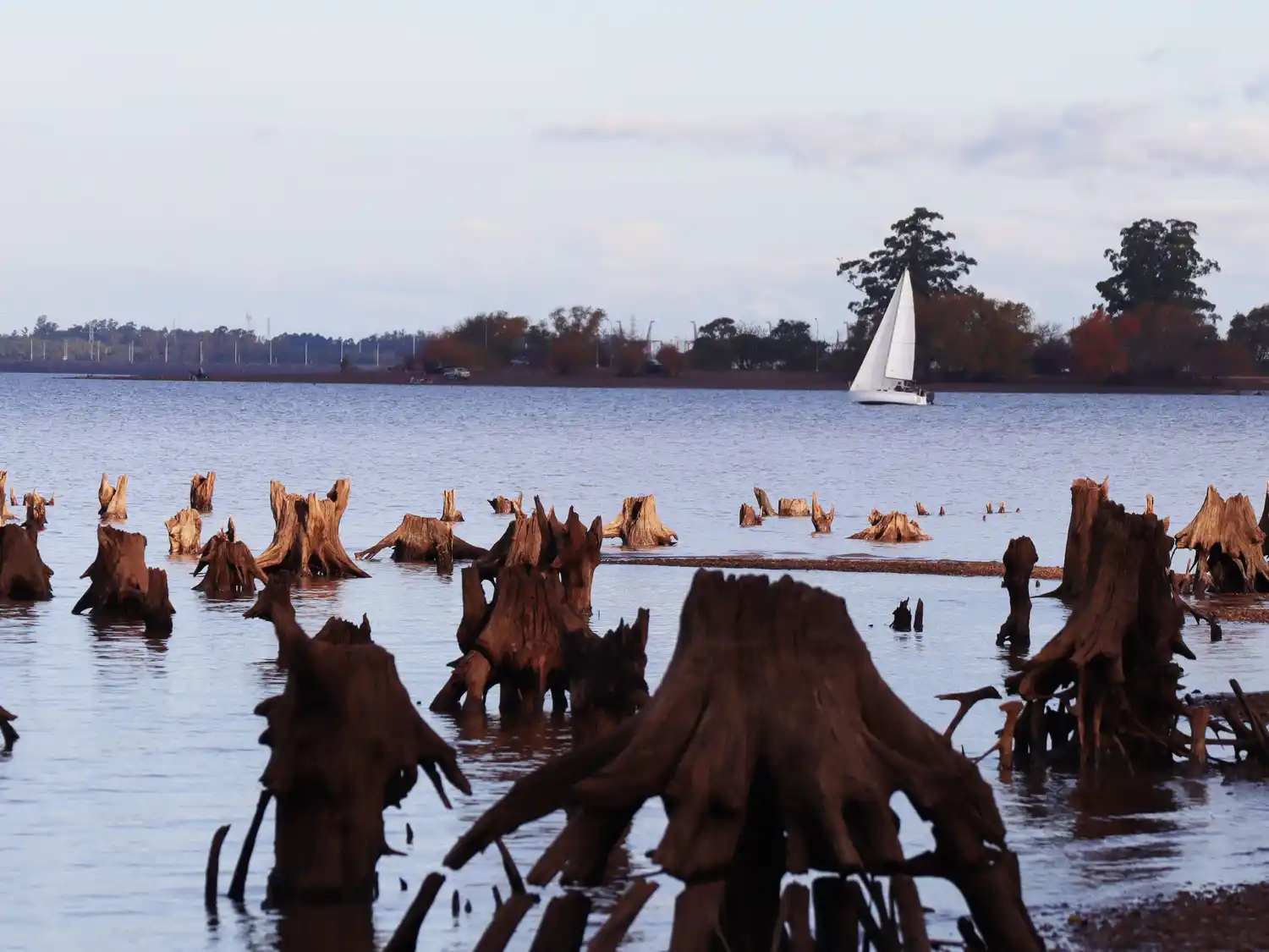 El río Uruguay mantiene tendencia ascendente y llegaría a los 11,50 en el puerto de Concordia