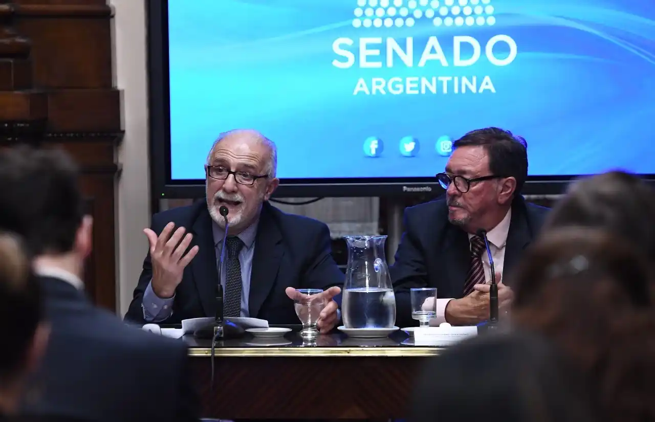 El Senado retomó el debate del nuevo Código Penal
