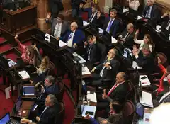 El Senado retrocede con el aumento de las dietas y congela por este año los haberes de los legisladores