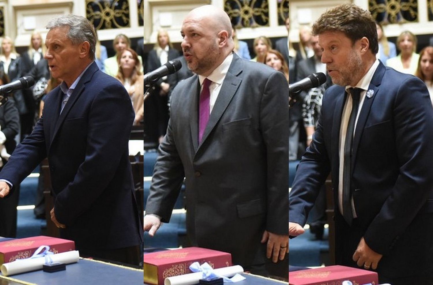 Asumieron los cinco legisladores que representan a Mar del Plata en la Cámara de Diputados