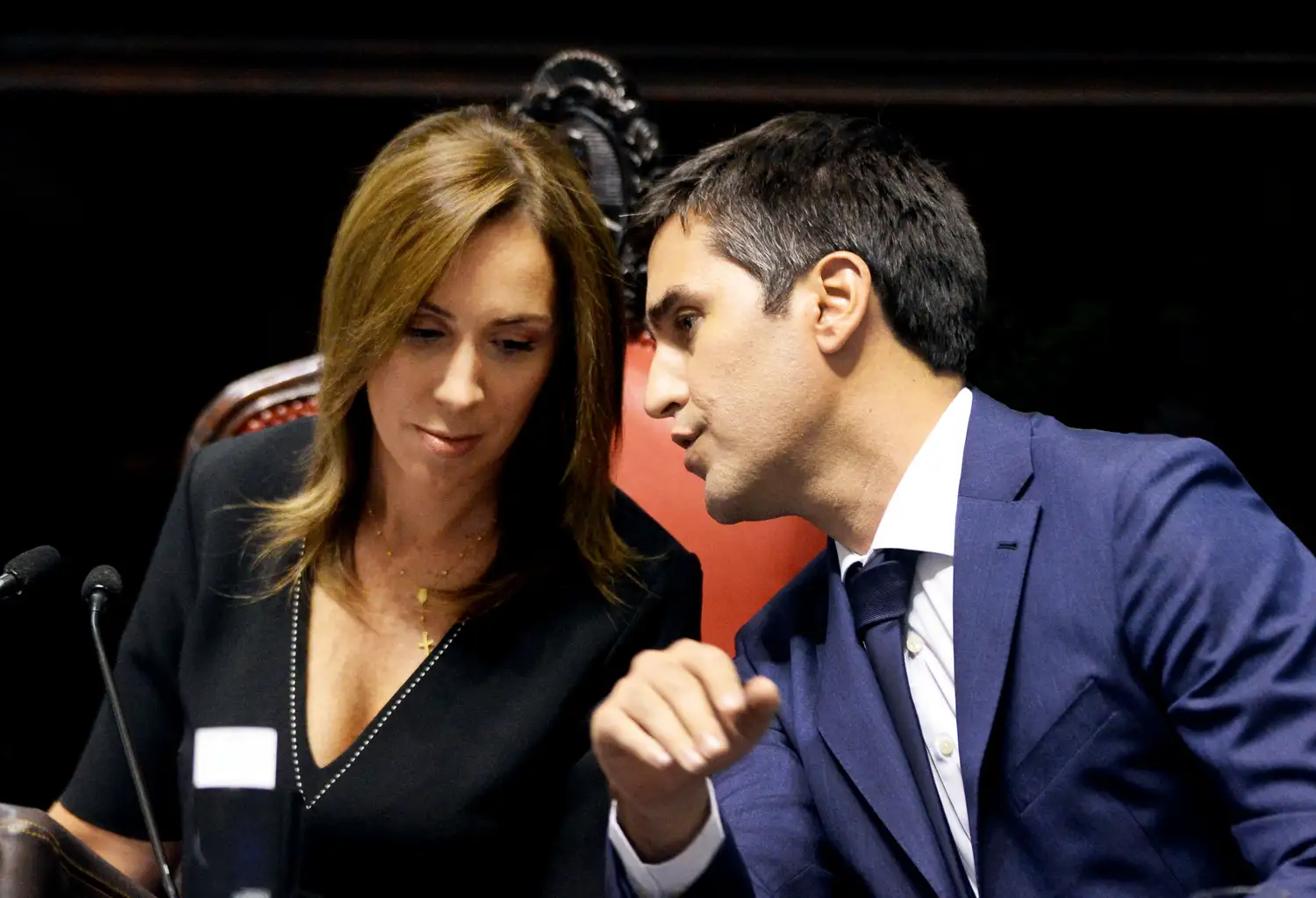 Vidal y Mosca presentaron un proyecto que limita a las inmobiliarias