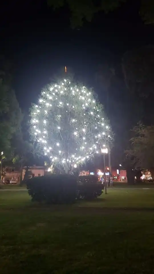 Conciertos navideños del Coro Polifónico Municipal