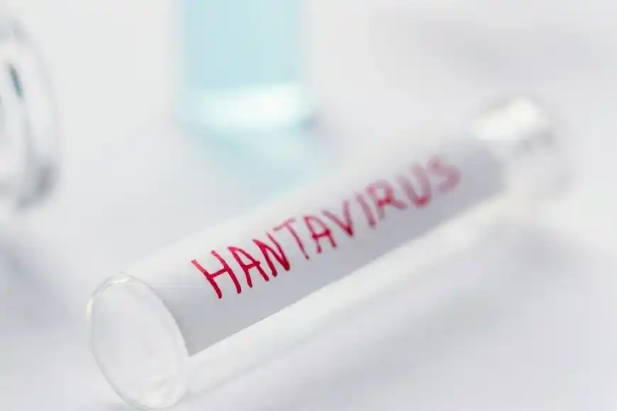 Las autoridades sanitarias de Mar del Plata confirmaron este miércoles el primer fallecimiento por hantavirus