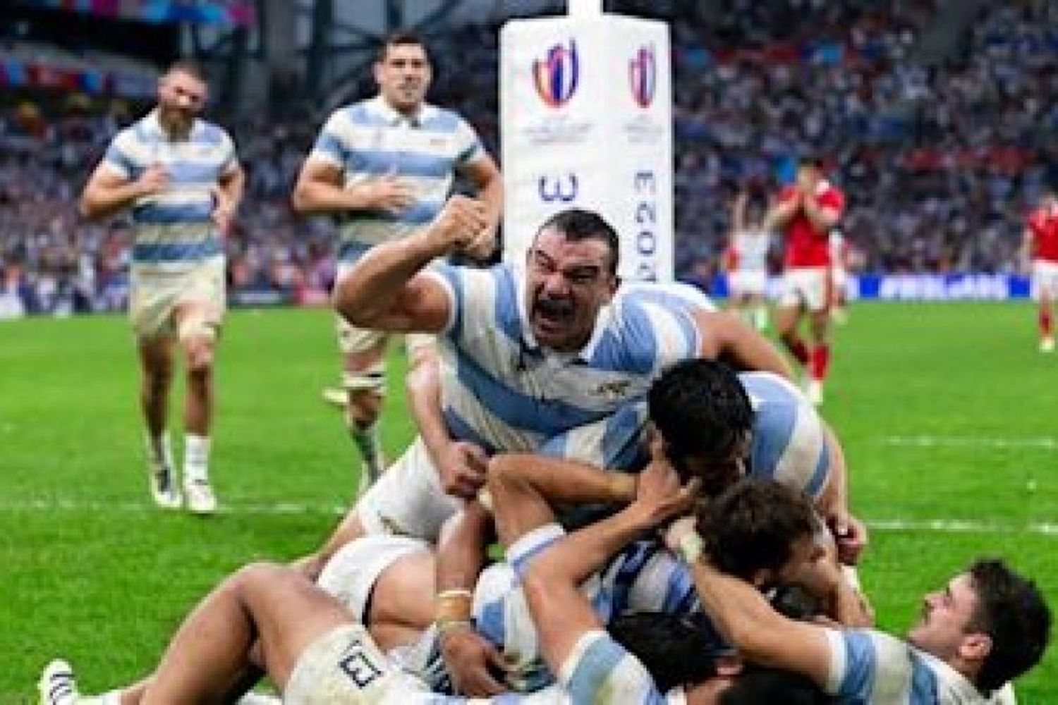 Los Pumas buscan hacer historia ante los All Blacks