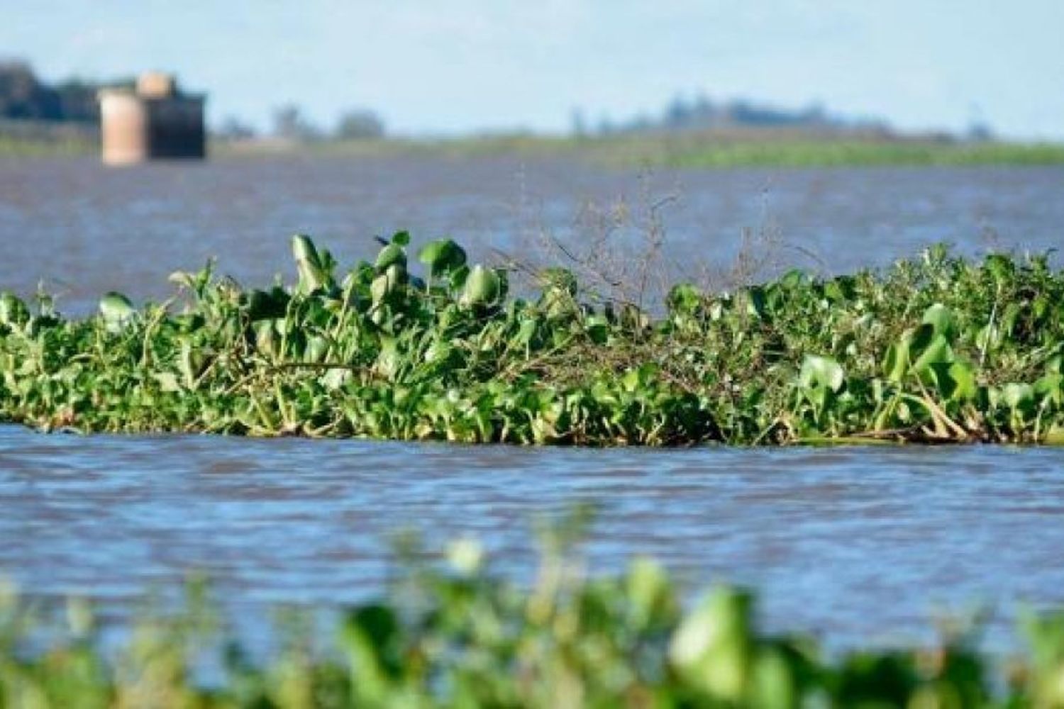 Río Paraná: Estiman que el pico máximo llegará el 25 de noviembre