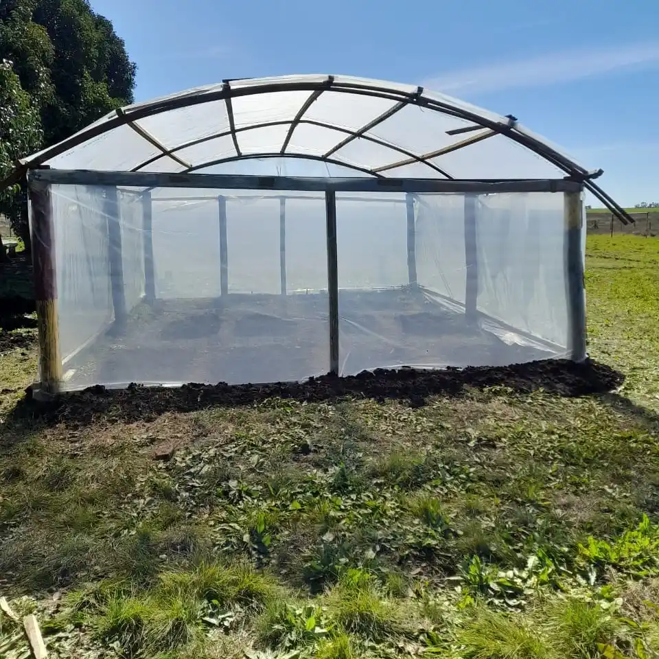 La Escuela N.º 5 "José González Grey" impulsa un proyecto de huerta orgánica con fines pedagógicos y comunitarios