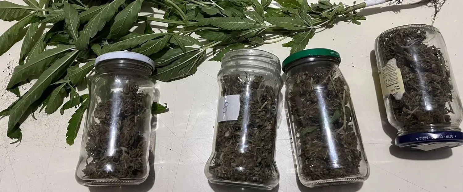 La droga incautada en la vecina localidad
