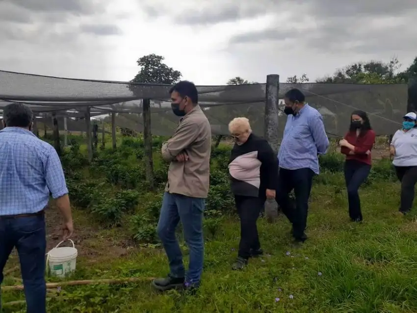 Con diversidad de productos, más pastorileños se vuelcan a tener su huerta familiar