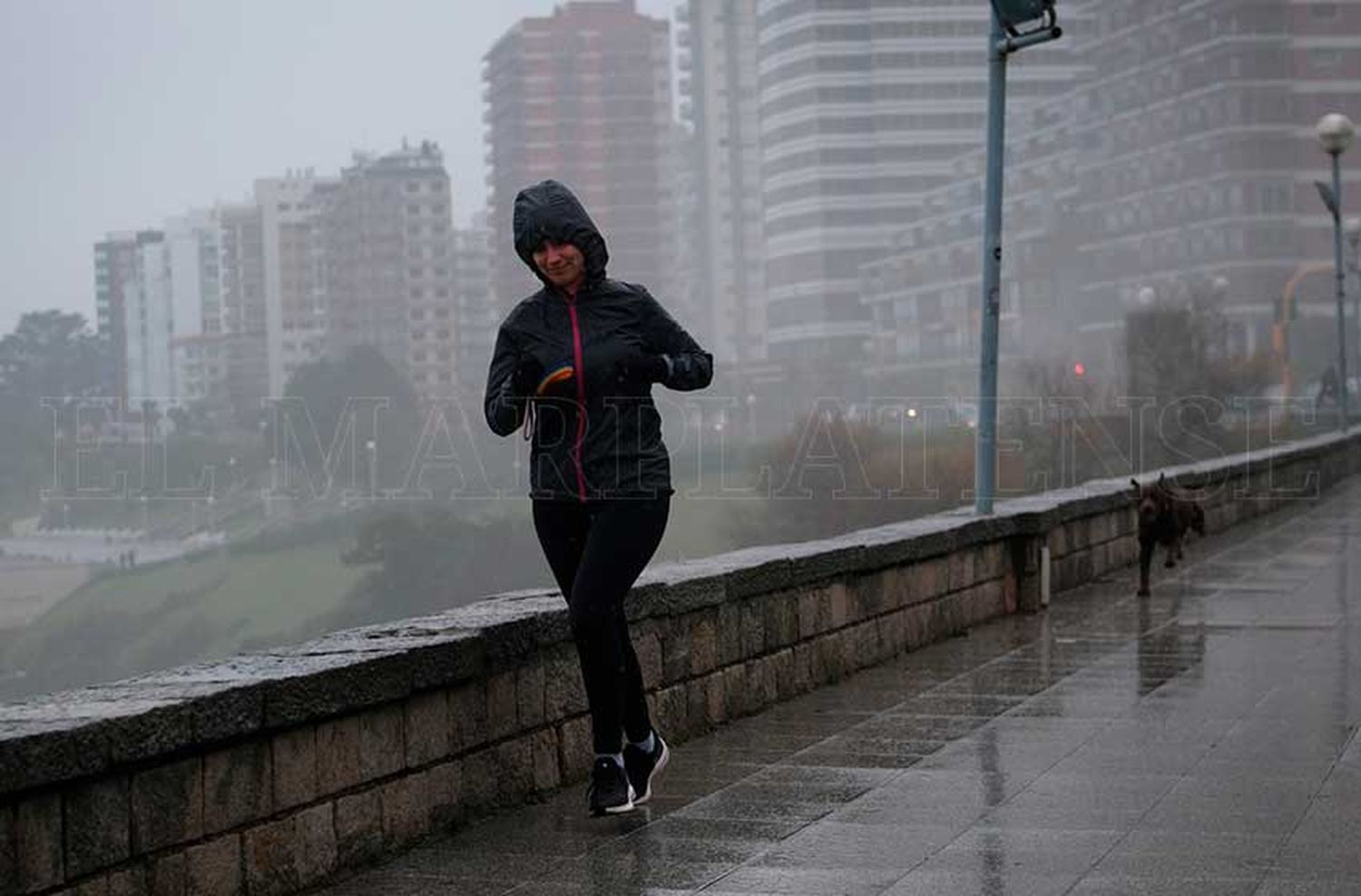 Llegó la lluvia: viento del sureste y 22 grados de máxima