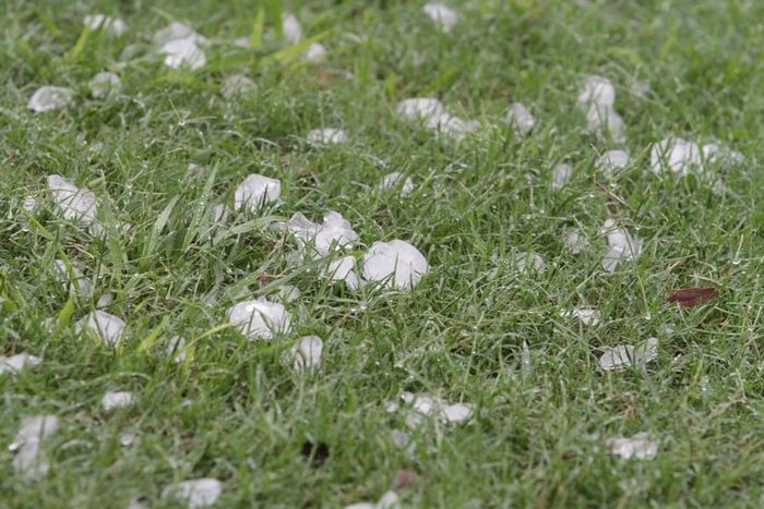 Emergencia Agropecuaria