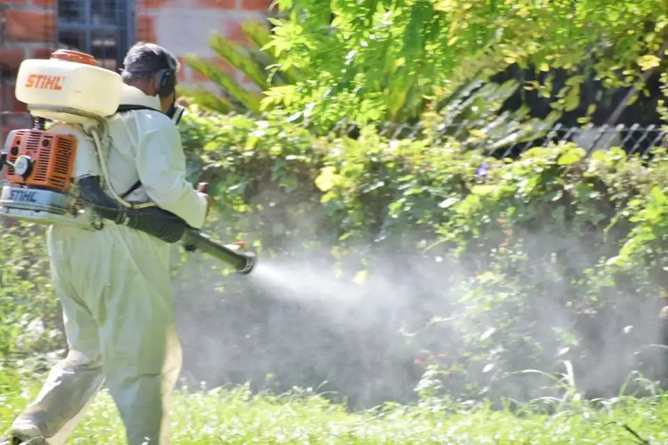 Se trabaja activamente en el combate de ponzoñosos y ofidios