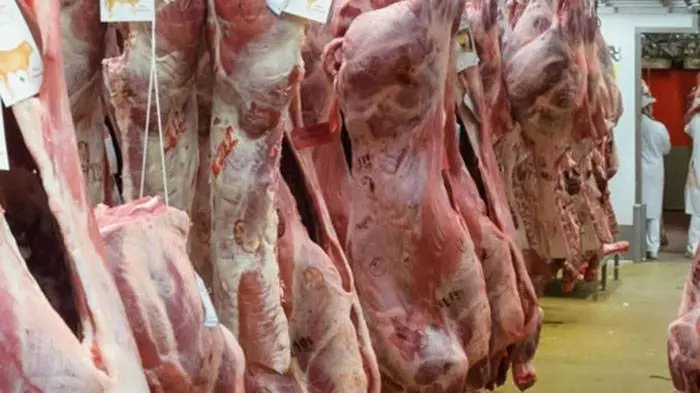 Llaman a aumentar la producción y  exportación de carne durante 2020