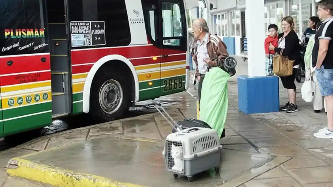 Mascota en el canil. Una imagen que se empezaría a ver en la Terminal local