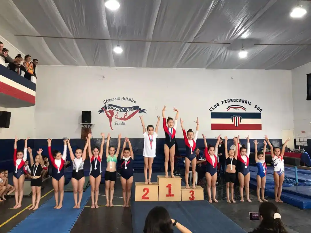 La gimnasia artística provincial disfrutó una gran jornada en Ferro