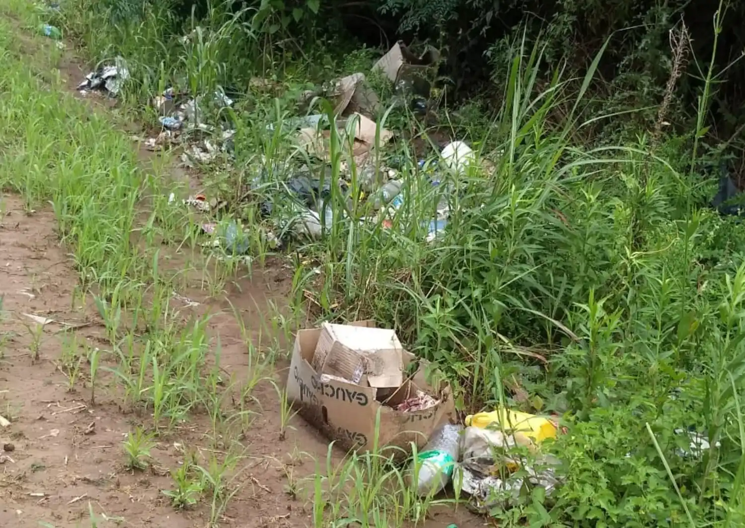 “Se está formando un basural en el camino a El Espinillo”